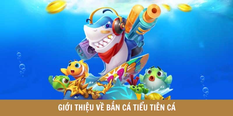 Giới thiệu bắn cá tiểu tiên cá trực tiếp QQ88