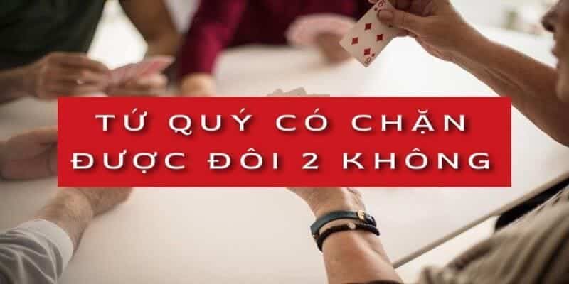 Thông tin tứ quý chặt đôi hai là thực sự chính xác?