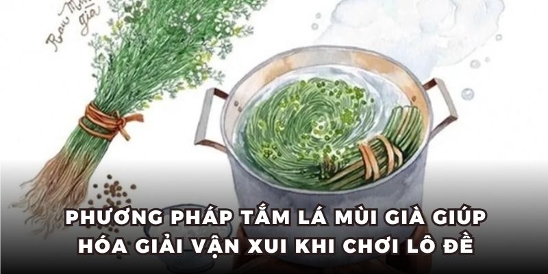 Phương pháp tắm lá mùi già giúp hóa giải vận xui khi chơi lô đề